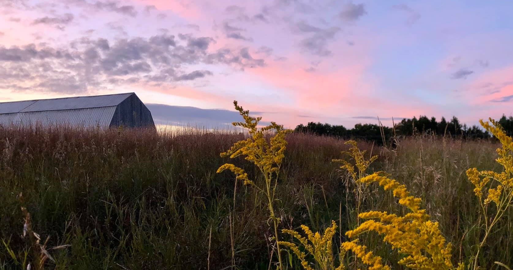 Rolling Blue Acres landscape